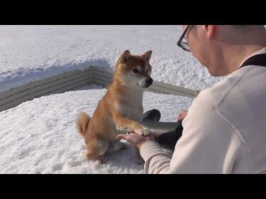 異常気象な日‥これで明日から吹雪らしい。。