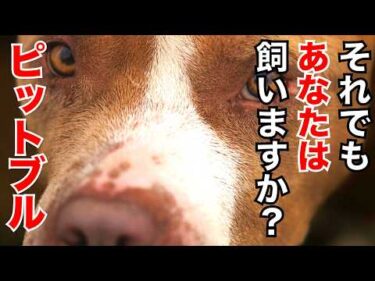 【パワーブリード】飼う理由を明確に言語化できますか？