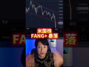 米国株 FANG+が大暴落！ヤバイ理由！