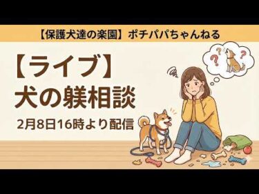 【ライブ】犬の躾相談（メンバー様は11日16時に変更させて頂きます）