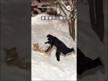 ワイルドな雪遊び｜PECO