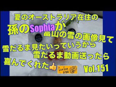 孫のSophiaへ雪だるまプレゼント　Vol 151