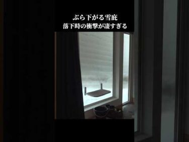 落雪！？屋根から落ちる雪に思わず吠えちゃう柴犬 #shibainu #犬のいる生活 #青森