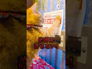 休刊日を許さない！｜PECO