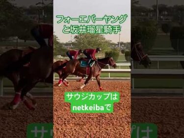 【サウジカップ2026】フォーエバーヤングの調教映像 #坂井瑠星 #競馬
