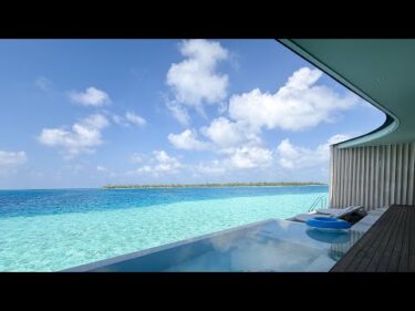 実写 モルディブの朝からお金の質問にちょっぴり答えていくよ 40分間配信