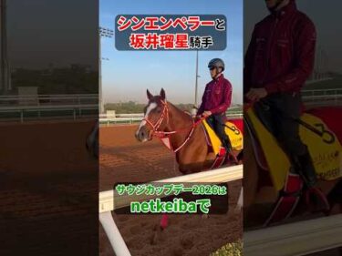 【ネオムターフカップ2026】シンエンペラーの調教映像 #shorts #坂井瑠星 #競馬