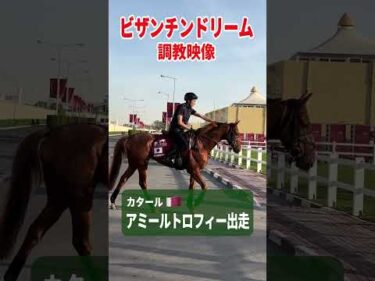 【アミールトロフィー2026】ビザンチンドリームの調教映像 #shorts #競馬
