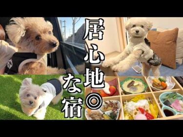愛犬と泊まれる最高にくつろげる宿に出会いました！【 亀の井ホテル 青梅】