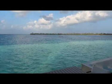 【実写】モルディブの朝から15分ライブ配信