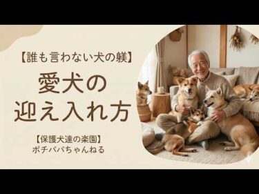 【誰も言わない】正しい愛犬の迎え入れ方