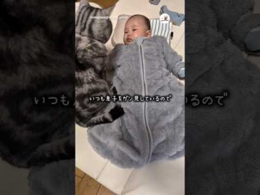 赤ちゃん目線は結構怖い｜PECO