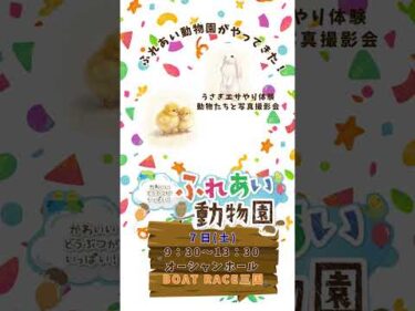 スポーツライブ＋杯　ふれあい動物園