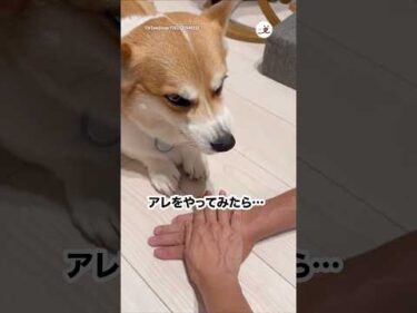 アレをやってみた瞬間、豹変しちゃって…｜PECO