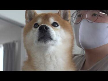 実家に行ったら大変なことになってました。