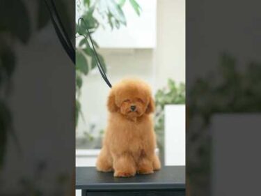 こんなお顔が隠れてました！😳