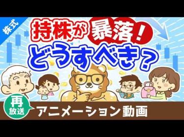 【再放送】持っている株が暴落したらどうすれば良いのか？【株式投資編】：（アニメ動画）第481回