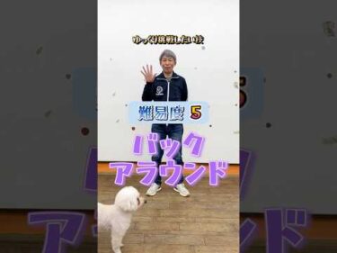ドッグトリック難易度５｜バックアラウンドできる？