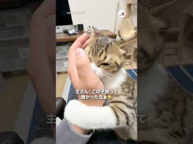 2時間半、家を空けたらコレ🤭｜PECO