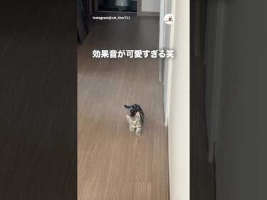 主さんの効果音可愛い😍｜PECO