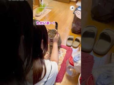 お姉ちゃんが帰省して♡｜PECO