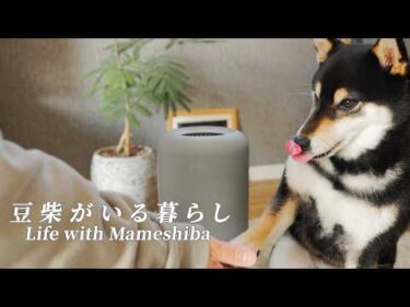 友人家族が来る日。気になるニオイどうする？