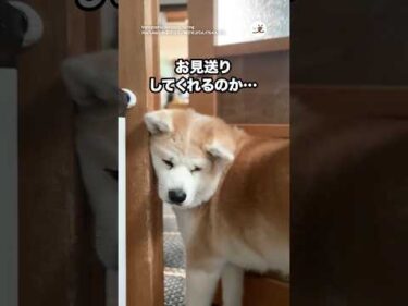 朝ごはんがある中、見送ってくれるのか？｜PECO