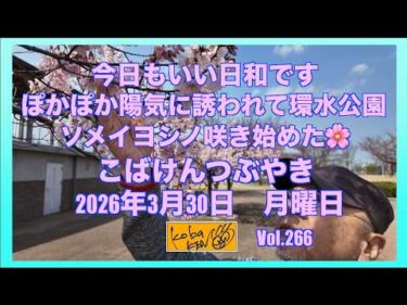 2026年3月30日 月曜日 こばけんつぶやき