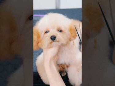 眠すぎて立ってられない！😪