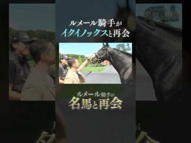 ルメール騎手×イクイノックス、感動の再会。　#ルメール #イクイノックス #競馬 #名馬 #horse