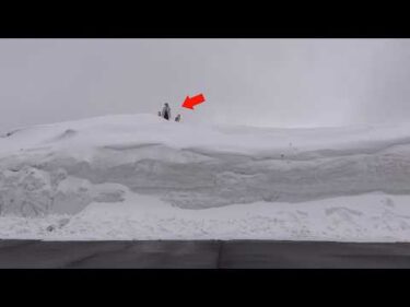 大雪すぎる‥！柴犬と雪回廊に行ったら迫力が規格外すぎた。。