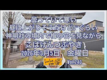 2026年3月6日 金曜日 こばけんつぶやき