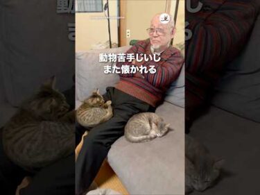 動物苦手じいじ、また懐かれる｜PECO