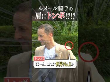 ルメール騎手の肩にトンボ！？イクイノックスとの再会ハプニング #ルメール #イクイノックス #競馬 #トンボ #名馬 #おもしろ #Shorts