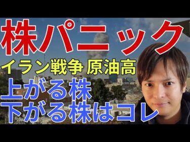 【米国株 日本株 乱高下】イラン戦争と原油高で市場パニック？今後上がる株、下がる株はコレです！