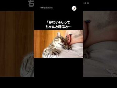 名前は「かわいい」と思ってる？🤭｜PECO