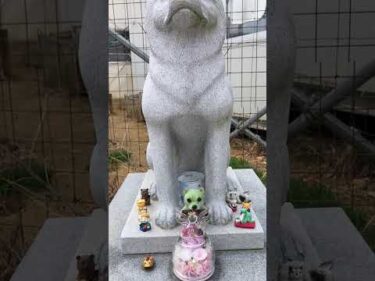 昨日届いてます！ありがとうございます