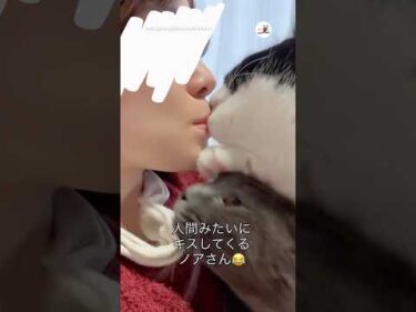 唇と耳たぶを狙われる飼い主｜PECO