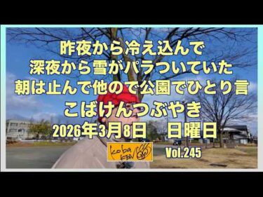 2026年3月8日 日曜日 こばけんつぶやき