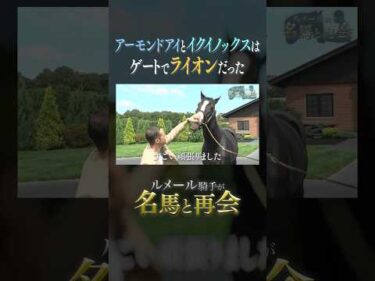 アーモンドアイとイクイノックスはゲートの中でライオンだった #ルメール #イクイノックス #競馬 #名馬 #horse #アーモンドアイ