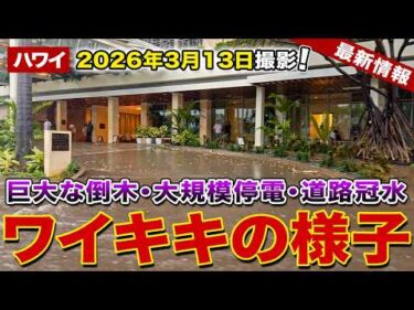 【ハワイ速報】嵐がワイキキを直撃！道路は冠水し巨大な倒木も。停電で消えた信号機…今のリアルな姿をお届けします【ハワイ最新情報】【ハワイの今】