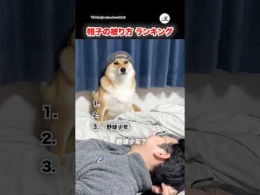 いろんなスタイルがある🧢｜PECO