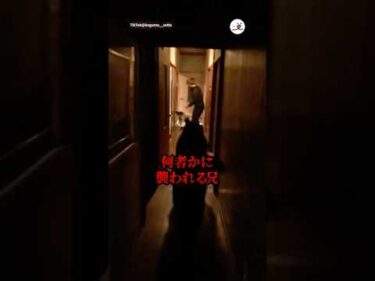 何者かに襲われる兄｜PECO