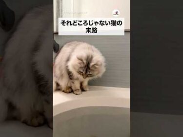 誰が乾かすんですか？｜PECO