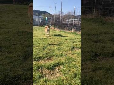 松山くん？？？