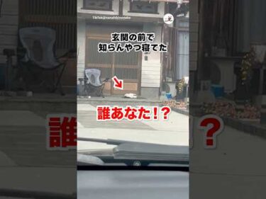 帰省したら知らん猫が家守ってた｜PECO