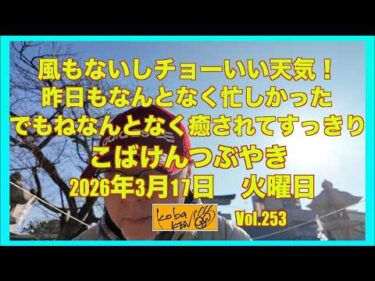 2026年3月17日 火曜日 こばけんつぶやき
