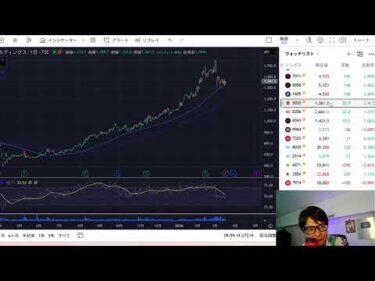 株価下げ、BTC上げ！日本株 米国株 BTC ゴールド 原油を見ながら配信！