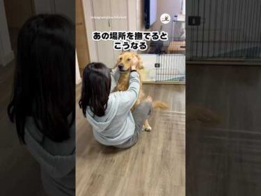 あの場所を撫でると…｜PECO