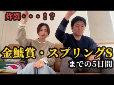 金鯱賞、スプリングステークスで炸裂・・・！？